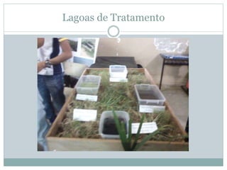 Lagoas de Tratamento
 