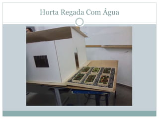 Horta Regada Com Água
 