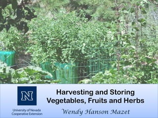 Harvesting and Storing
Vegetables, Fruits and Herbs
    Wendy Hanson Mazet
 