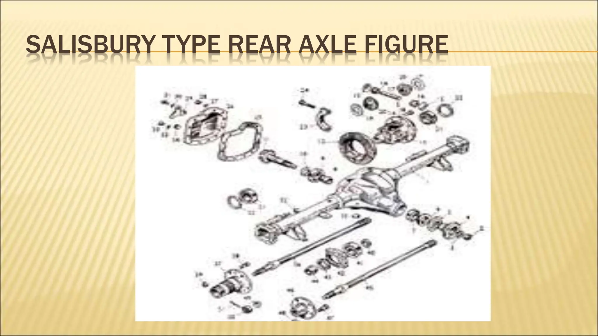 SALISBURY TYPE REAR AXLE FIGURE
 