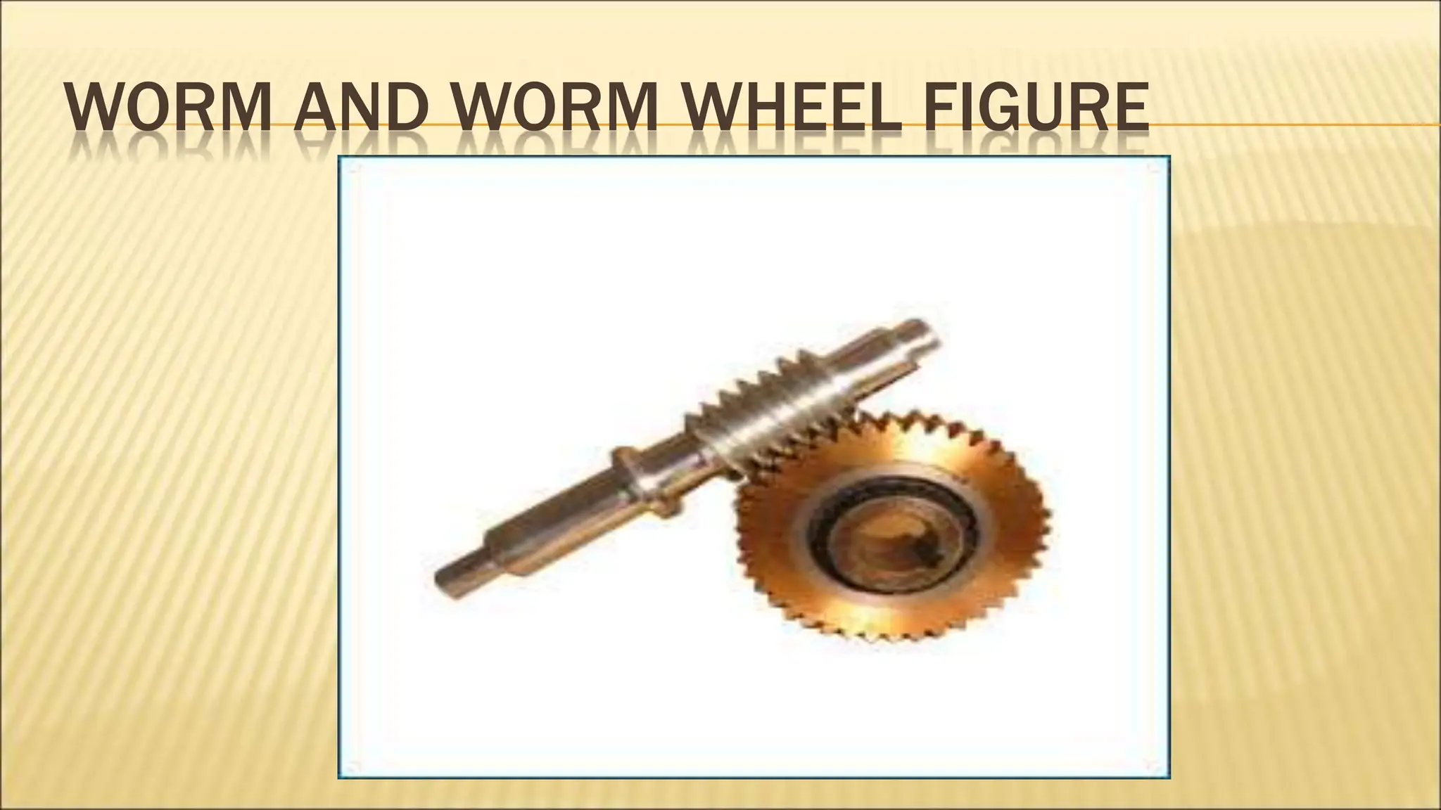 WORM AND WORM WHEEL FIGURE
 