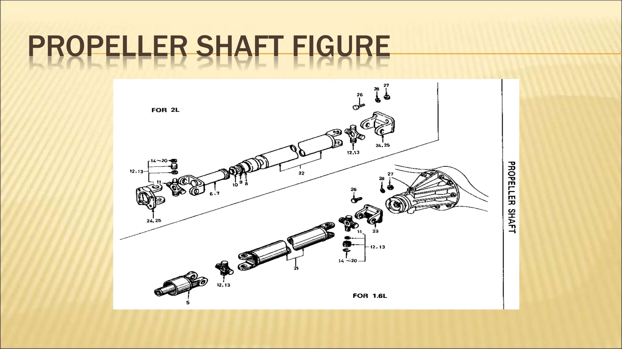 PROPELLER SHAFT FIGURE
 