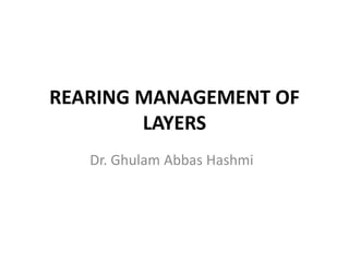 REARING MANAGEMENT OF
LAYERS
Dr. Ghulam Abbas Hashmi
 