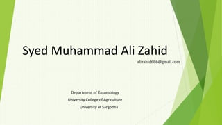 Syed Muhammad Ali Zahid
Department of Entomology
University College of Agriculture
University of Sargodha
alizahid686@gmail.com
 
