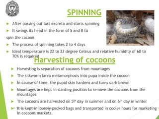 Rearing techniques for successful cocoon crop.pptx