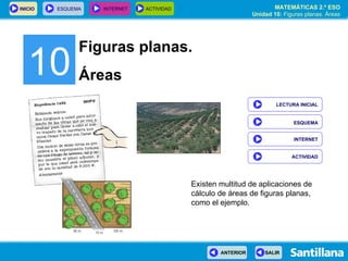 10 Figuras planas. Áreas Existen multitud de aplicaciones de cálculo de áreas de figuras planas, como el ejemplo. INTERNET LECTURA INICIAL ESQUEMA ACTIVIDAD 
