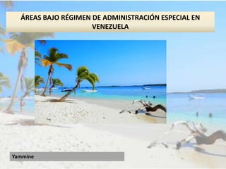 Yammine
ÁREAS BAJO RÉGIMEN DE ADMINISTRACIÓN ESPECIAL EN
VENEZUELA
 
