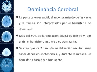 La percepción espacial, el reconocimiento de las caras
y la música son interpretados por el hemisferio no
dominante.
Mas del 90% de la población adulta es diestra y, por
ende, el hemisferio izquierdo es dominante,
Se cree que los 2 hemisferios del recién nacido tienen
capacidades equipotenciales, y durante la infancia un
hemisferio pasa a ser dominante.
Dominancia Cerebral
 