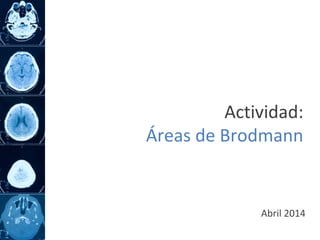 Actividad:
Áreas de Brodmann
Abril 2014
 
