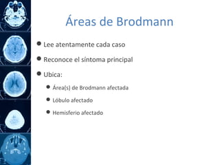 Lee atentamente cada caso
Reconoce el síntoma principal
Ubica:
Área(s) de Brodmann afectada
Lóbulo afectado
Hemisferio afectado
Áreas de Brodmann
 
