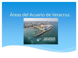 Áreas del Acuario de Veracruz.
 