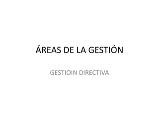 ÁREAS DE LA GESTIÓN GESTIOIN DIRECTIVA 
