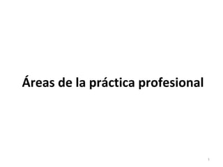 Áreas de la práctica profesional




                                   1
 