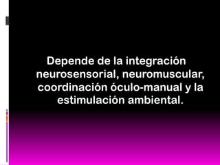 Depende de la integración
neurosensorial, neuromuscular,
coordinación óculo-manual y la
   estimulación ambiental.
 