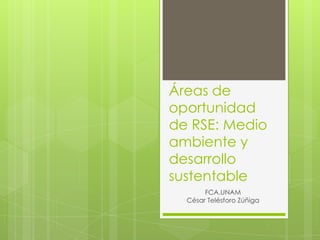 Áreas de oportunidad de RSE: Medio ambiente y desarrollo sustentable FCA.UNAM César Telésforo Zúñiga 