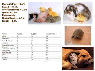 Domestic Fowl – 0.6%
Lizards – 0.6%
Tortoises/Turtles – 0.6%
Snakes – 0.4%
Rats – 0.4%
Horses/Ponies – 0.2%
Gerbils – 0.1%
 