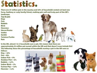 Statistics.
There are 27 million pets in the country and 43% of households contain at least one
furry, feathery or scaly family friend, making pets well and truly part of the UK’s
landscape.
Top 10 pets
Dogs
Cats
Rabbits
Birds
Hamsters
Horses/Ponies
Snakes
Gerbils
Tortoises/Turtles
Rats

In the UK, almost 1 in 2 households own a pet, this means that there are
approximately 22 million pet owned within the UK and that doesn’t even include fish!
The following shows the percentage of households owning a pet in the UK were as
follows:
Dog – 22%
Cat – 18%
Indoor Fish – 9%
Outdoor Fish – 6%
Rabbits – 2.7%
Indoor Birds – 2%
Guinea Pigs – 1.5%
Hamster – 1.4%
 