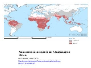 Áreas endêmicas de malária por P. falciparum no
planeta.
Fonte: Oxford University/UK
http://www.map.ox.ac.uk/browse-resources/transmission-
limits/Pf_limits/world/
 