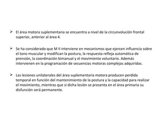  El área motora suplementaria se encuentra a nivel de la circunvolución frontal
superior, anterior al área 4.
 Se ha considerado que M II interviene en mecanismos que ejercen influencia sobre
el tono muscular y modifican la postura, la respuesta refleja automática de
prensión, la coordinación bimanual y el movimiento voluntario. Además
intervienen en la programación de secuencias motoras complejas adquiridas.
 Las lesiones unilaterales del área suplementaria motora producen perdida
temporal en función del mantenimiento de la postura y la capacidad para realizar
el movimiento, mientras que si dicha lesión se presenta en el área primaria su
disfunción será permanente.
 