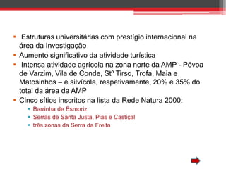  Estruturas universitárias com prestígio internacional na
área da Investigação
 Aumento significativo da atividade turística
 Intensa atividade agrícola na zona norte da AMP - Póvoa
de Varzim, Vila de Conde, Stº Tirso, Trofa, Maia e
Matosinhos – e silvícola, respetivamente, 20% e 35% do
total da área da AMP
 Cinco sítios inscritos na lista da Rede Natura 2000:
 Barrinha de Esmoriz
 Serras de Santa Justa, Pias e Castiçal
 três zonas da Serra da Freita

 