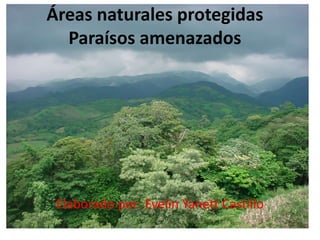 Áreas naturales protegidasParaísos amenazados Elaborado por: Evelin Yanett Castillo  