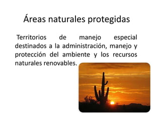 Áreas naturales protegidas
Territorios de manejo especial
destinados a la administración, manejo y
protección del ambiente y los recursos
naturales renovables.
 