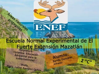 Escuela Normal Experimental de El
Fuerte Extensión Mazatlán
 