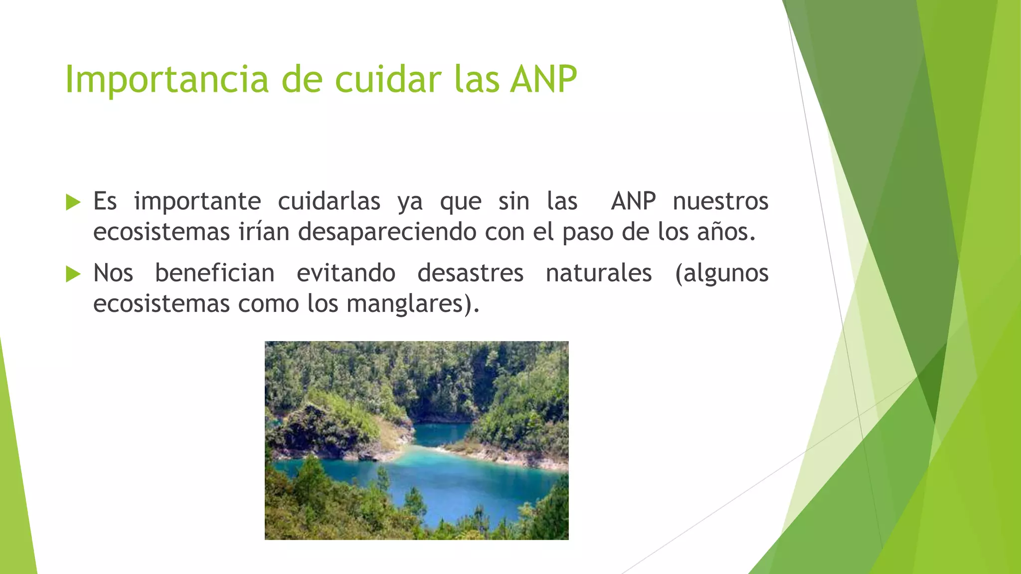 Importancia de cuidar las ANP
Es importante cuidarlas ya que sin las ANP nuestros
ecosistemas irían desapareciendo con el paso de los años.
Nos benefician evitando desastres naturales (algunos
ecosistemas como los manglares).