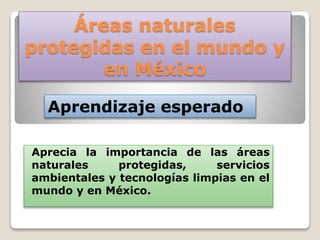 Áreas naturales
protegidas en el mundo y
en México
Aprecia la importancia de las áreas
naturales protegidas, servicios
ambientales y tecnologías limpias en el
mundo y en México.
Aprendizaje esperado
 