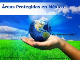 Free Powerpoint Templates
Áreas Protegidas en México
Lic. Alexandra Ayala A.
Cd. Obregón, Sonora 11 de Septiembre de 2014
 