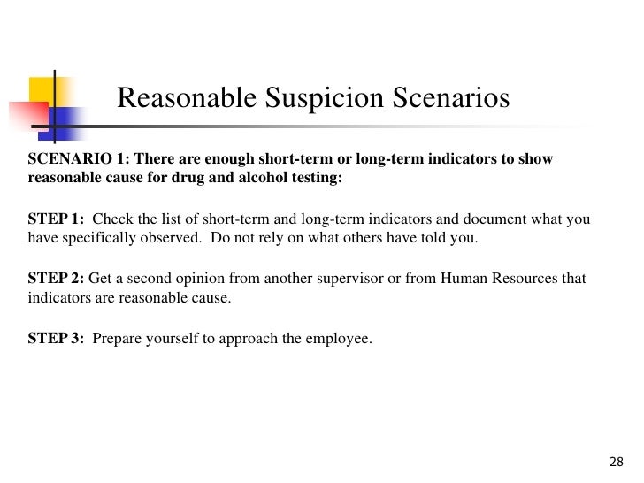 reasonable suspicion
