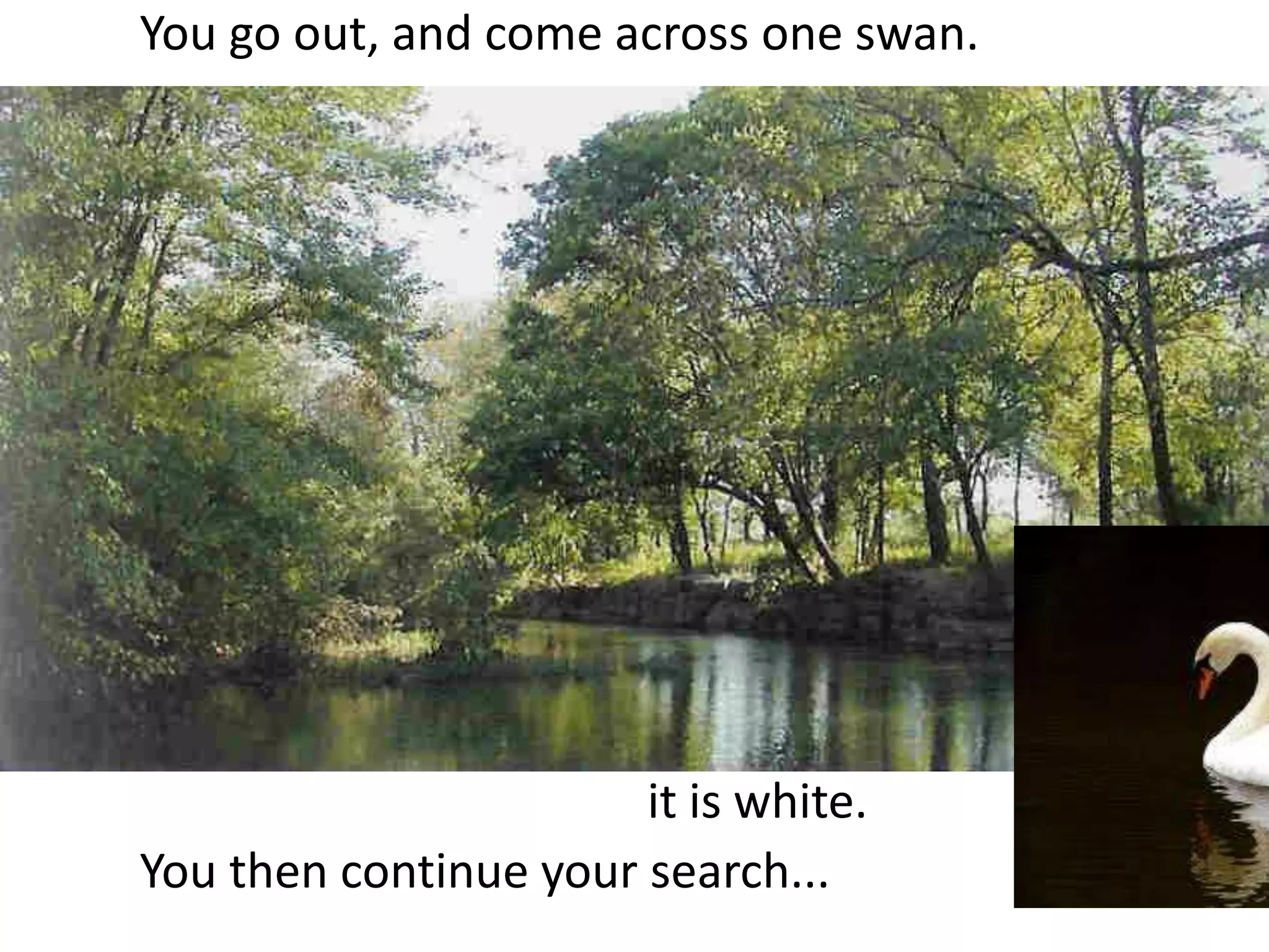 You go out, and come across one swan.					it is white.  You then continue your search...