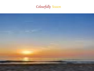 Colourfully Season
 