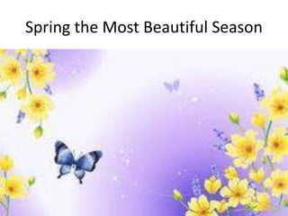 Spring the Most Beautiful Season
 