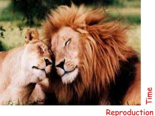 r
Reproduction
Time
 