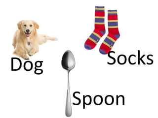 Dog
Spoon
Socks
 