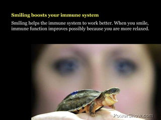Smiling boosts your immune system Smiling helps the immune system to work better. When you smile, immune function improves...