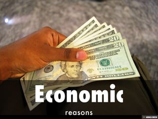 Reasons for Migration