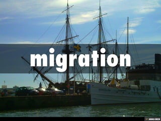 Reasons for Migration