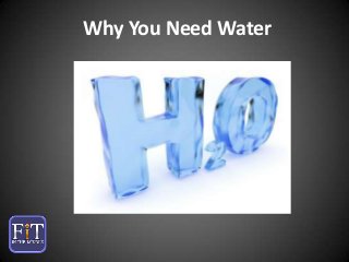 Why You Need Water

 