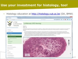 26-1-2016 pag. 22
Use your investment for histology, too!
• Histology education at http://histology.vub.ac.be (GK, BMW)
 