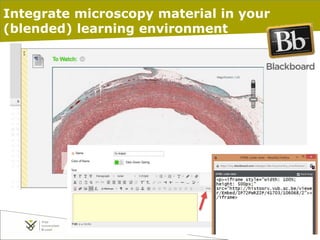 26-1-2016 pag. 24
Integrate microscopy material in your
(blended) learning environment
 
