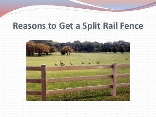 Reasons to Get a Split Rail Fence
 