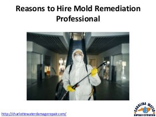 Reasons to Hire Mold Remediation
Professional
http://charlottewaterdamagerepair.com/
 
