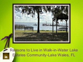 Reasons to Live in Walk-in-Water Lake
Estates Community-Lake Wales, FL
 