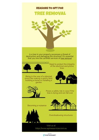 Reasons to Opt for Tree Removal - Infographic