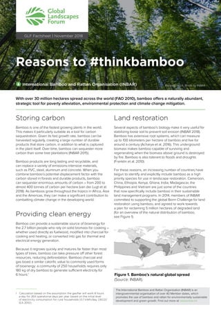 Reasons to #thinkbamboo
1
Reasons to #thinkbamboo
 
With over 30 million hectares spread across the world (FAO 2010), bamboo offers a naturally abundant,
strategic tool for poverty alleviation, environmental protection and climate change mitigation.
International Bamboo and Rattan Organisation (INBAR) Bamboo stock. Photo by INBAR
GLF Factsheet | November 2018
Storing carbon
Bamboo is one of the fastest growing plants in the world.
This makes it particularly suitable as a tool for carbon
sequestration. Given its fast growth rate, bamboo can be
harvested regularly, creating a large number of durable
products that store carbon, in addition to what is captured
in the plant itself. Over time, bamboo can sequester more
carbon than some tree plantations (INBAR 2015).
Bamboo products are long lasting and recyclable, and
can replace a variety of emissions-intensive materials,
such as PVC, steel, aluminum and concrete. When you
combine bamboo’s potential displacement factor with the
carbon stored in forests and durable products, bamboo
can sequester enormous amounts of carbon – from 200 to
almost 400 tonnes of carbon per hectare (van der Lugt et al.
2018). As bamboos grow throughout the tropics in Africa, Asia
and the Americas, they can make a significant contribution to
combatting climate change in the developing world.
Providing clean energy
Bamboo can provide a sustainable source of bioenergy for
the 2.7 billion people who rely on solid biomass for cooking –
whether used directly as fuelwood, modified into charcoal for
cooking and heating, or converted into gas for thermal and
electrical energy generation.
Because it regrows quickly and matures far faster than most
types of trees, bamboo can take pressure off other forest
resources, reducing deforestation. Bamboo charcoal and
gas boast a similar calorific value to commonly used forms
of bioenergy: a community of 250 households requires only
180 kg of dry bamboo to generate sufficient electricity for
6 hours.1
1 Calculation based on the assumption the gasifier will work 8 hours
a day for 264 operational days per year, based on the initial level
of electricity consumption for rural households (0.7 kWh/day, OECD/
IEA 2010).
Land restoration
Several aspects of bamboo’s biology make it very useful for
stabilizing loose soil to prevent soil erosion (INBAR 2018).
Bamboo has extensive root systems, which can measure
up to 100 kilometers per hectare of bamboo and live for
around a century (Acharya et al. 2016). This underground
biomass makes bamboo capable of surviving and
regenerating when the biomass above ground is destroyed
by fire. Bamboo is also tolerant to floods and droughts
(Franklin et al. 2010).
For these reasons, an increasing number of countries have
begun to identify and explicitly include bamboo as a high
priority species for use in landscape restoration. Cameroon,
China, Ethiopia, Kenya, Ghana, India, Madagascar, the
Philippines and Vietnam are just some of the countries
that now specifically include bamboo in their sustainable
land management programs. In 2014, members of INBAR
committed to supporting the global Bonn Challenge for land
restoration using bamboo, and agreed to work towards
a plan for reclaiming 5 million hectares of degraded land
(for an overview of the natural distribution of bamboo,
see Figure 1).
Figure 1. Bamboo’s natural global spread
(Source: INBAR).
The International Bamboo and Rattan Organisation (INBAR) is an
intergovernmental organisation of over 40 Member states, which
promotes the use of bamboo and rattan for environmentally sustainable
development and green growth. Find out more at: www.inbar.int
 