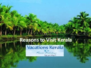 Reasons to Visit Kerala
 