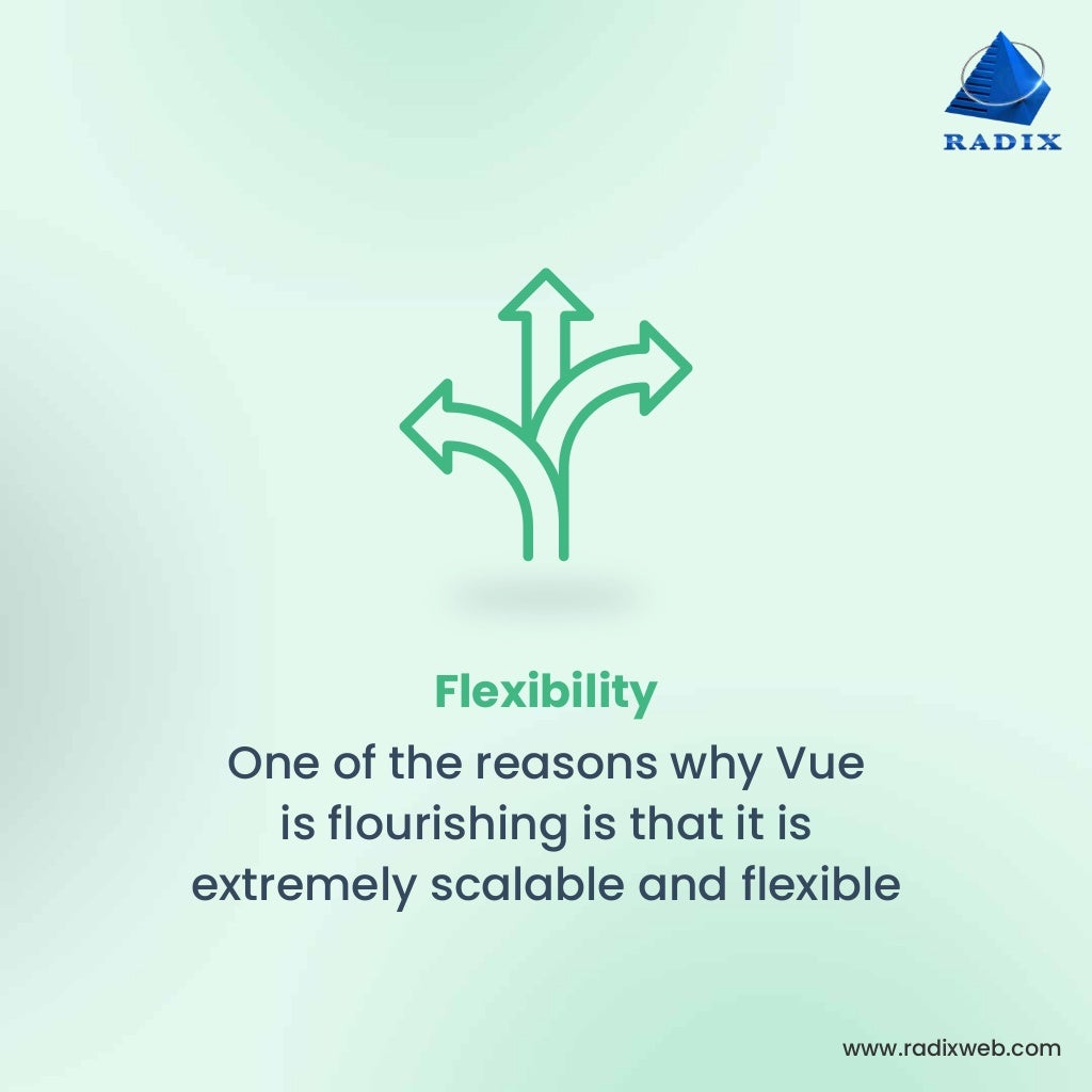 www.radixweb.com Flexibility One of the reasons why Vue is ﬂourishing is that it is extremely scalable and ﬂexible 