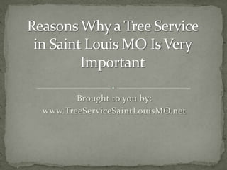 Brought to you by:
www.TreeServiceSaintLouisMO.net
 
